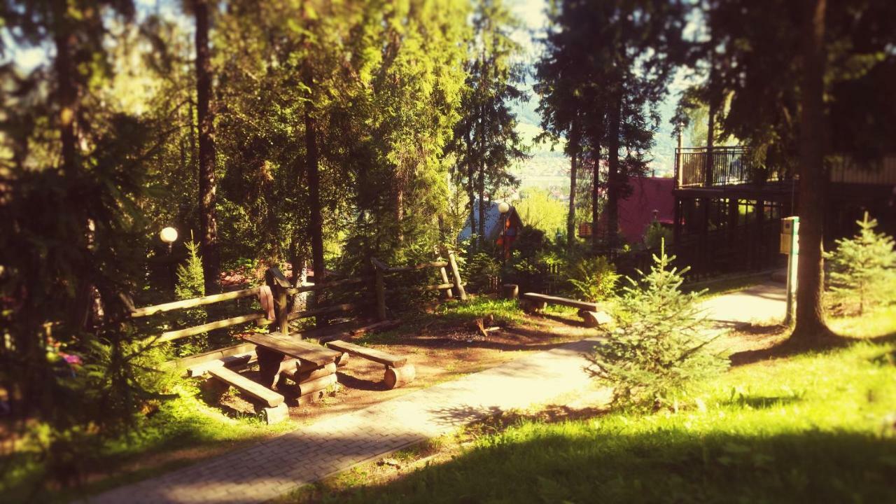 Kompleks Wypoczynkowo - Sportowy "Marysienka" Villa Międzybrodzie Bialskie Exteriör bild